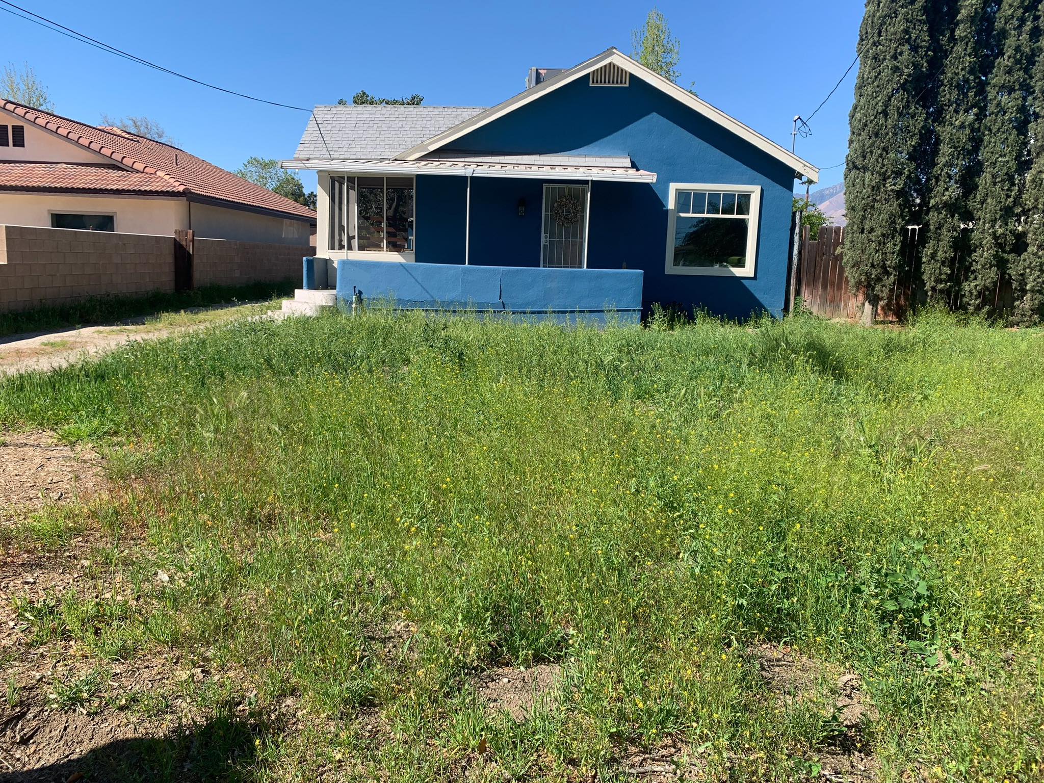 Perfect example of yard photo - blue house with overgrown front yard, taken from ideal distance and height